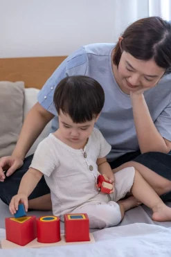 3 rompecabezas de incrustación de formas - Plan Toys