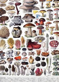 Setas de Millot - Puzzle Michèle Wilson