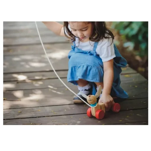 Teck el perrito para tirar - Plan Toys
