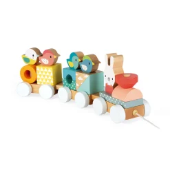 Tren de construcción de madera Pure - Janod