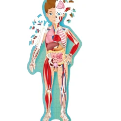 Viajar, descubrir, explorar - El cuerpo humano - Sassi Junior