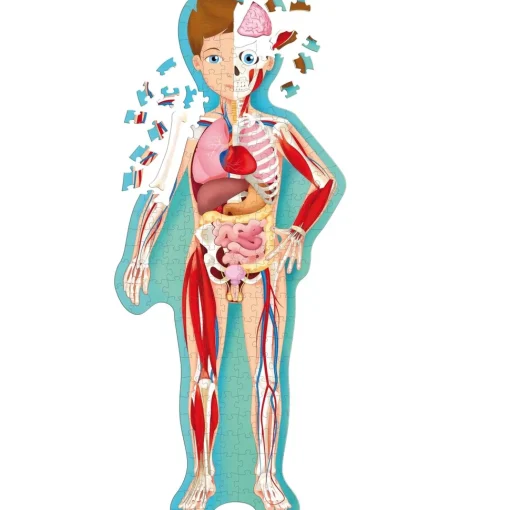 Viajar, descubrir, explorar - El cuerpo humano - Sassi Junior