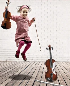 Violín clásico - Small foot company